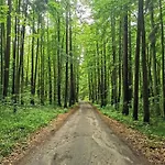 Semesterbostad Miedzy Brzozami Pluski