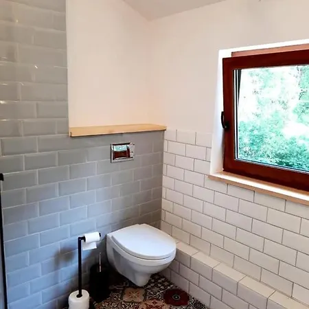 Miedzy Brzozami * Pluski