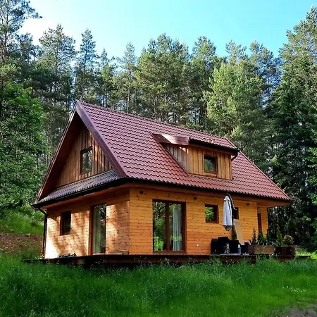 Miedzy Brzozami Pluski