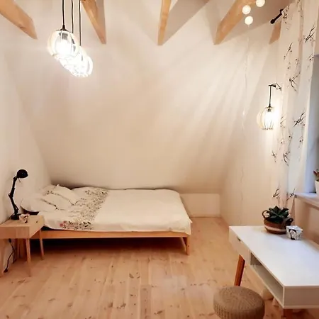 Miedzy Brzozami Pluski