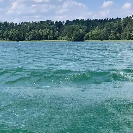 Między Brzozami * Pluski