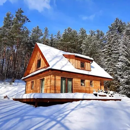 Miedzy Brzozami Pluski