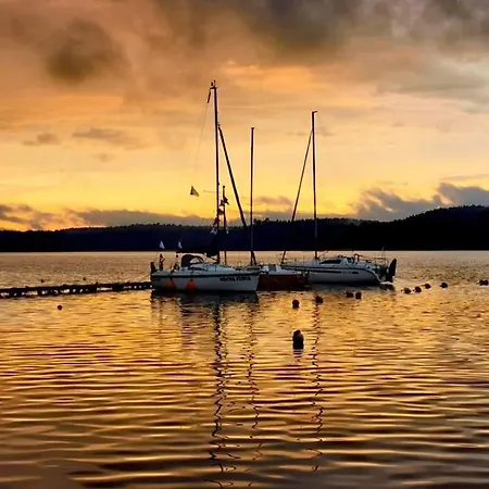 Miedzy Brzozami Pluski