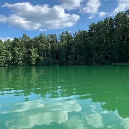 Między Brzozami
