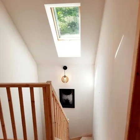 Miedzy Brzozami * Pluski