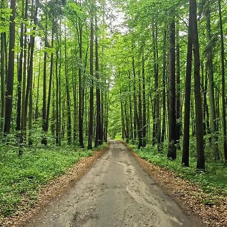 Casa vacanze Miedzy Brzozami Pluski