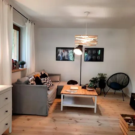 Dom wakacyjny Między Brzozami *